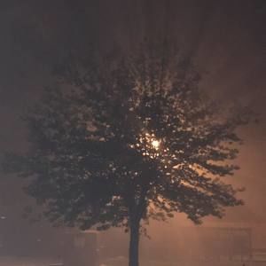 Meet your Posher, Dylan